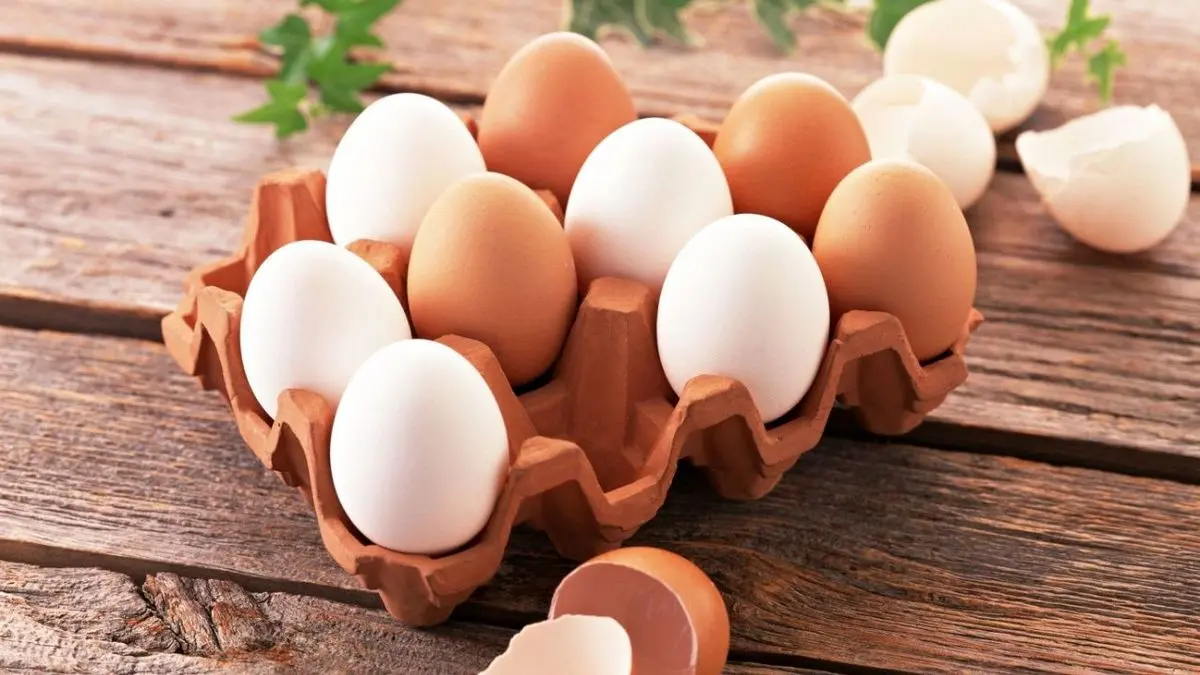 روزانه 60 تن تخم مرغ در بازارهای میادین میوه و تره بار توزیع می‌شود