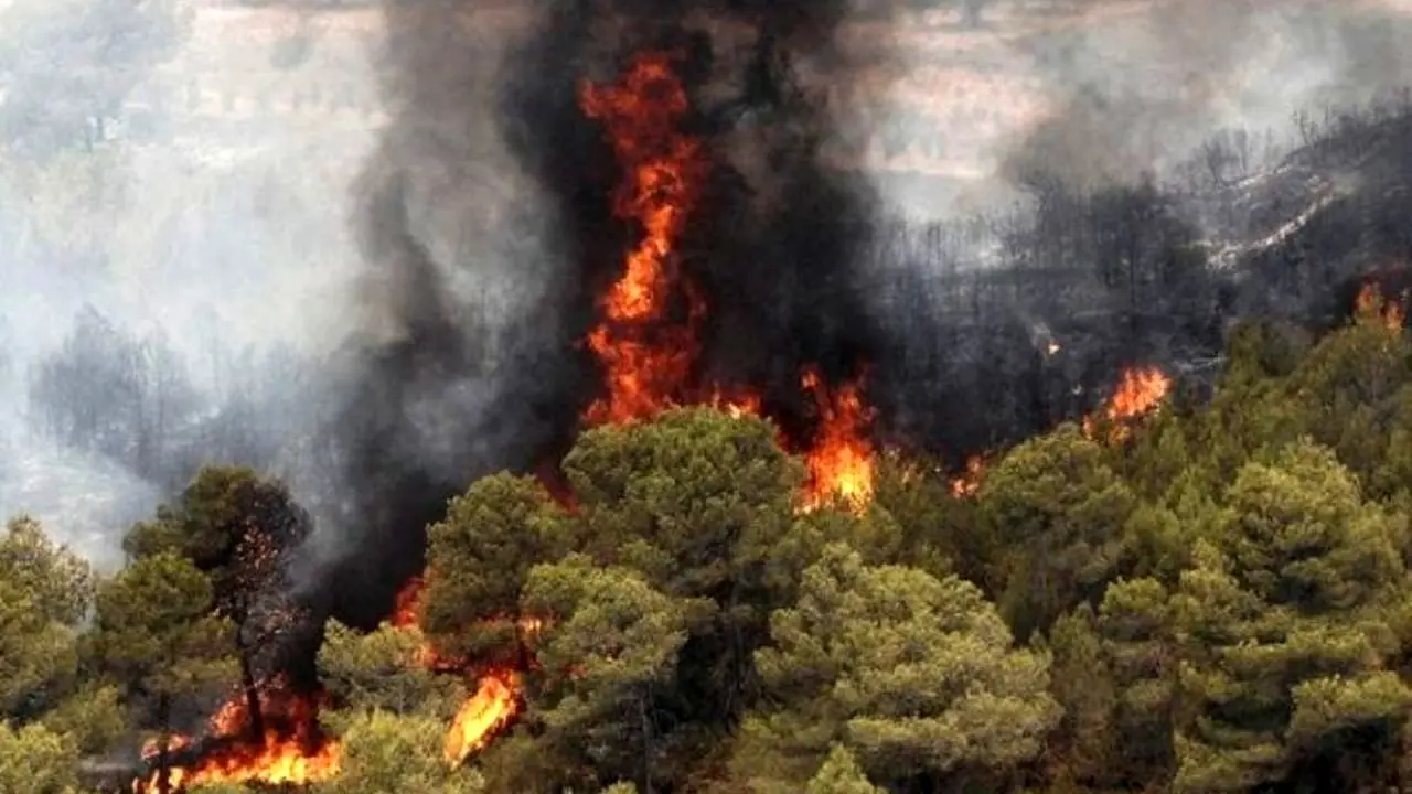 آتش‌سوزی 7 هزار و 120 هکتار از مناطق حفاظت‌شده کشور در عرض 6ماه