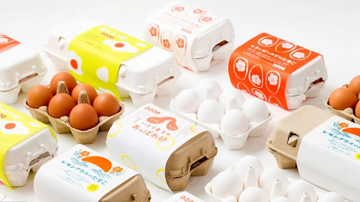 قیمت تخم مرغ بسته بندی چند تومان است؟