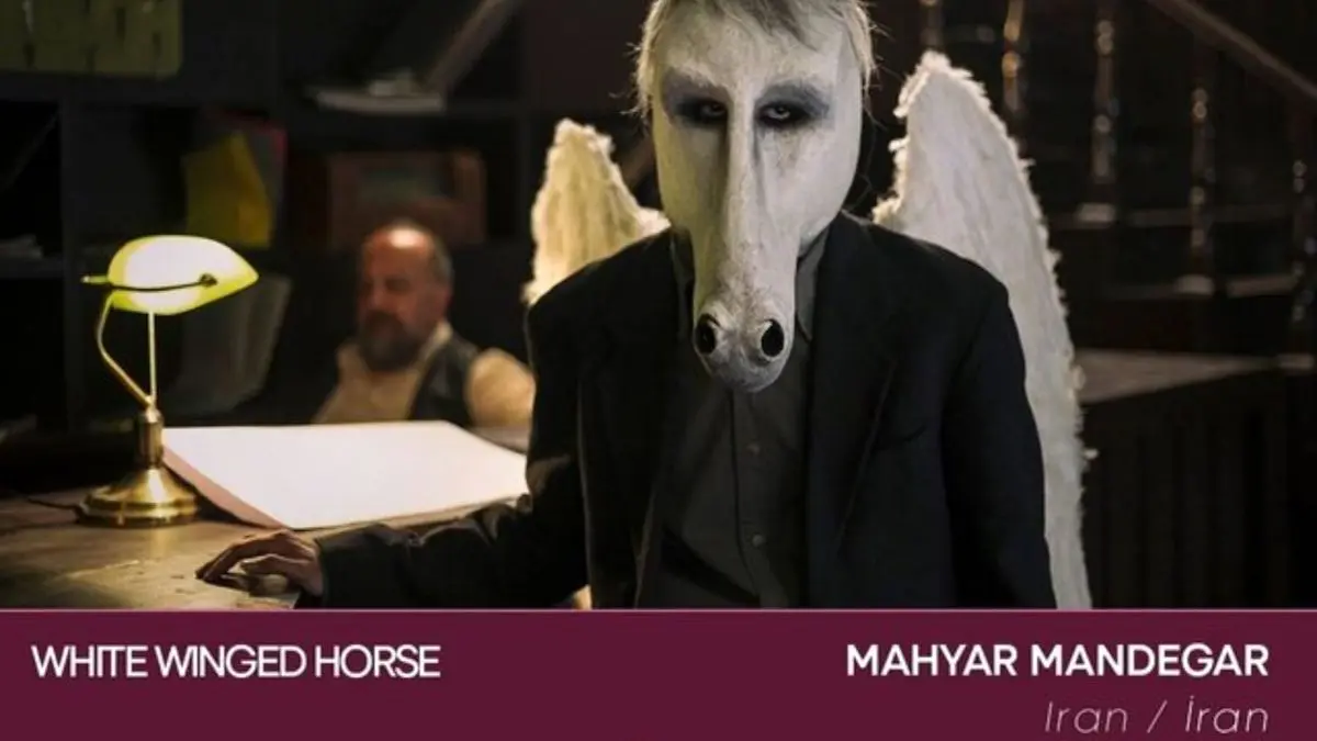 «اسب سفید بالدار» در جشنواره ازمیر ترکیه