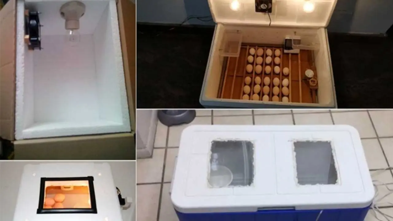 ساخت دستگاه جوجه‌کشی هوشمند با کمترین هزینه