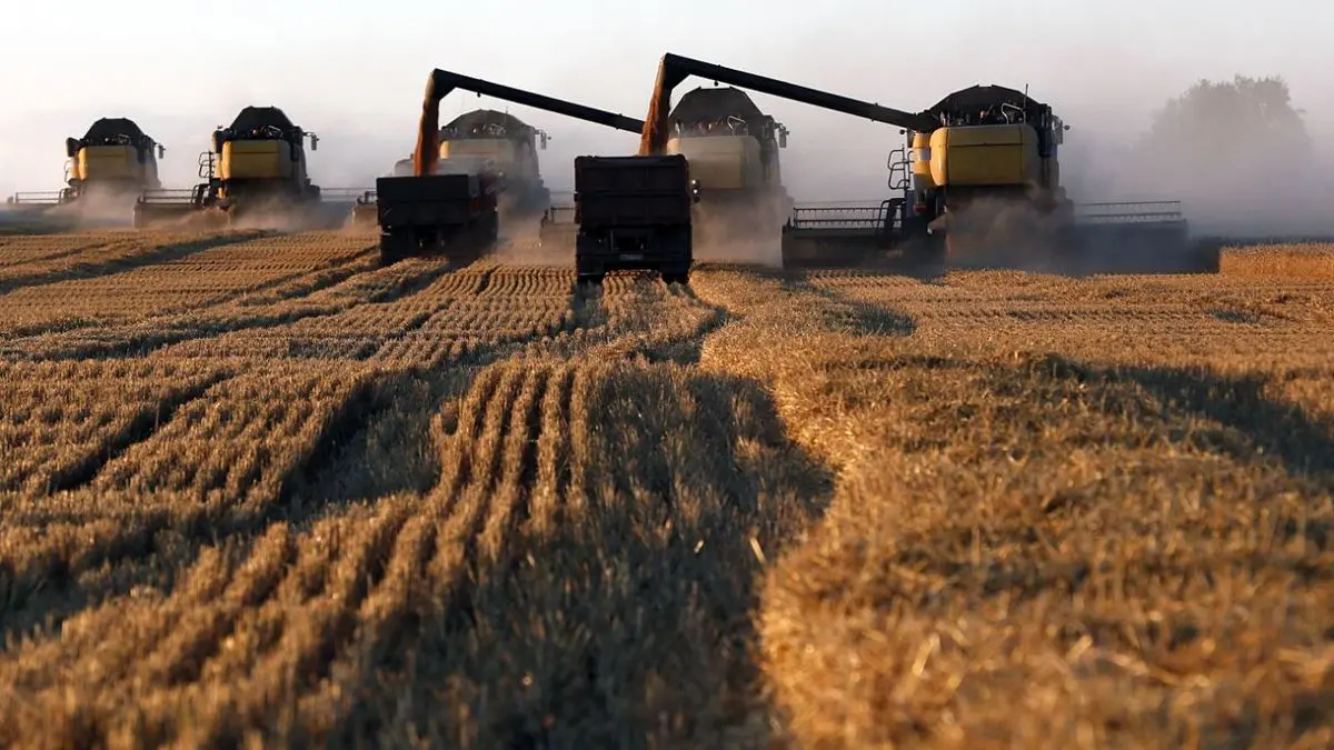 دولت با خرید تضمینی گندم به قیمت پایین به کشاورز خارجی یارانه می‌دهد