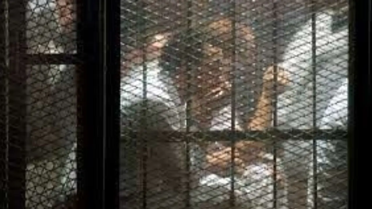 اعدام  49 فرد در مصر طی 10 روز