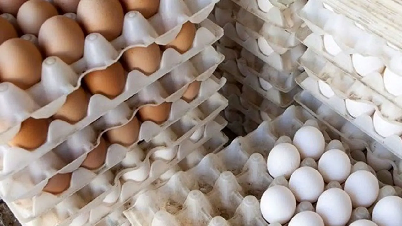 گران‌فروشی 8000 تومانی تخم مرغ در بازار