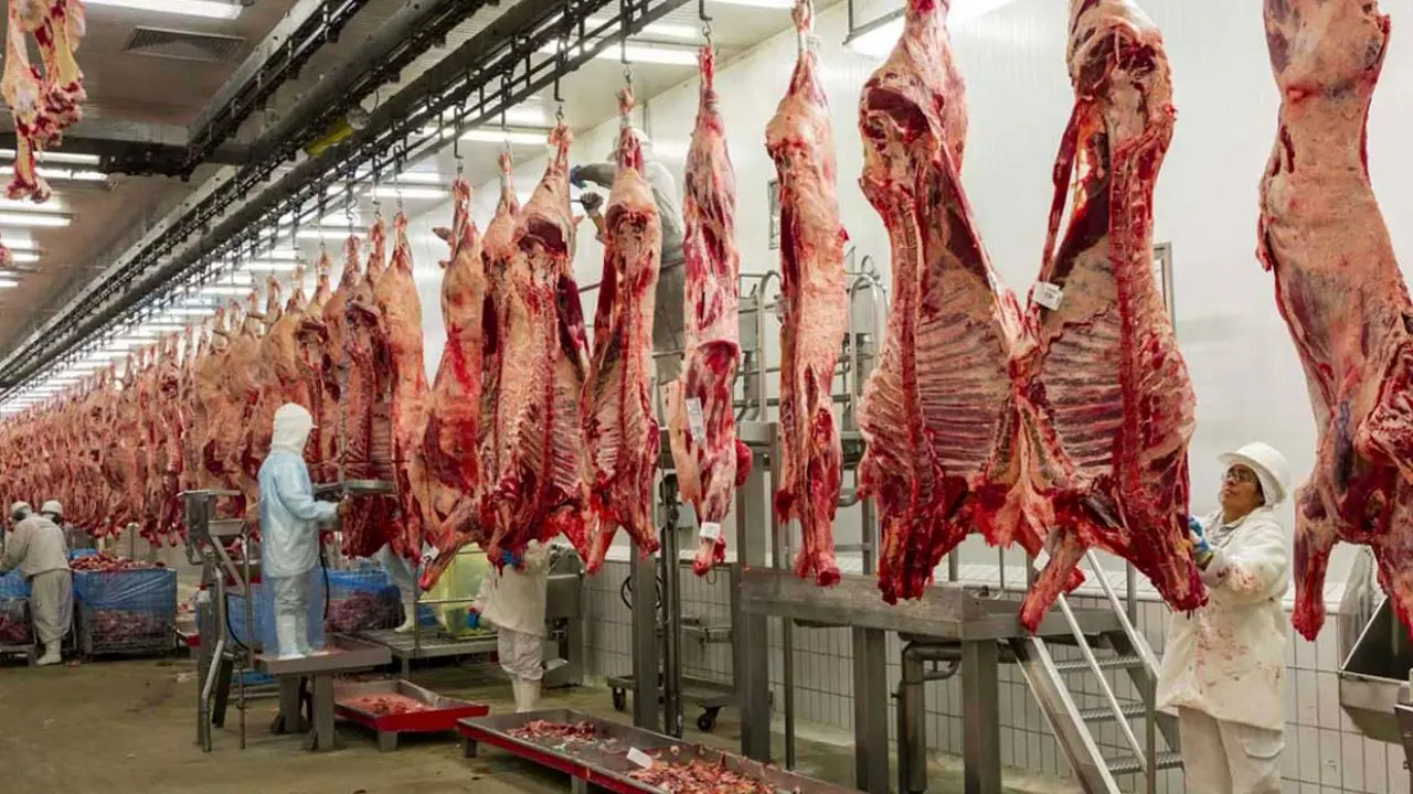 تصمیم جدید برای کاهش قیمت گوشت