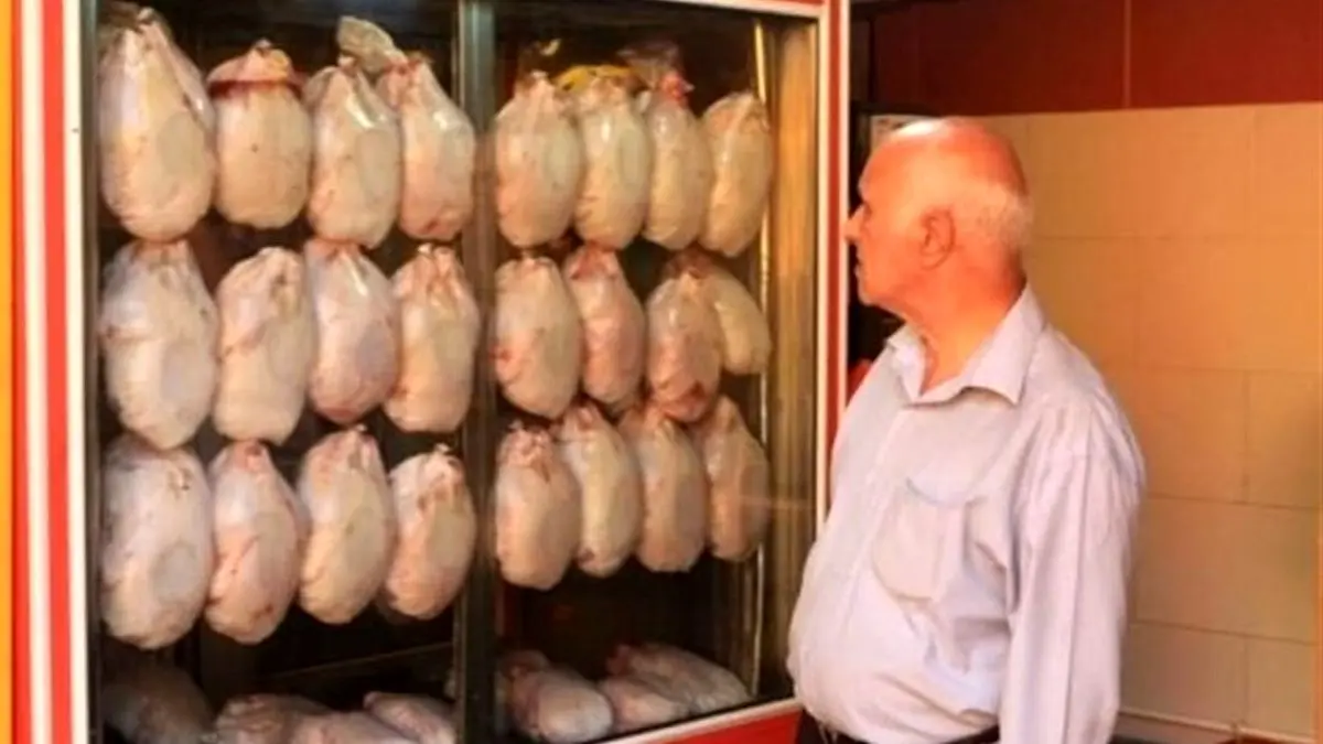 قیمت مرغ کیلویی 26 هزار تومان منطقی است!/ وزارت صمت باید پاسخگوی گرانی مرغ باشد