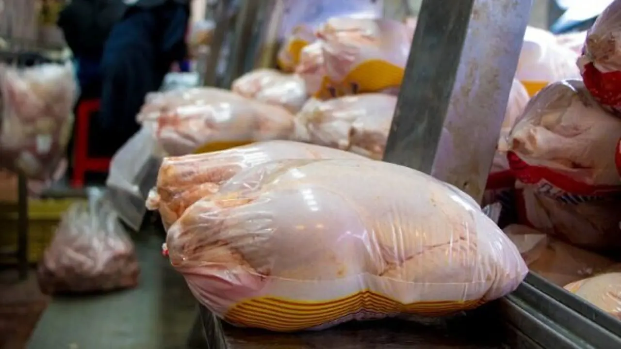 مرغ گرم در فروشگاه های زنجیره ای از شنبه توزیع می‌شود