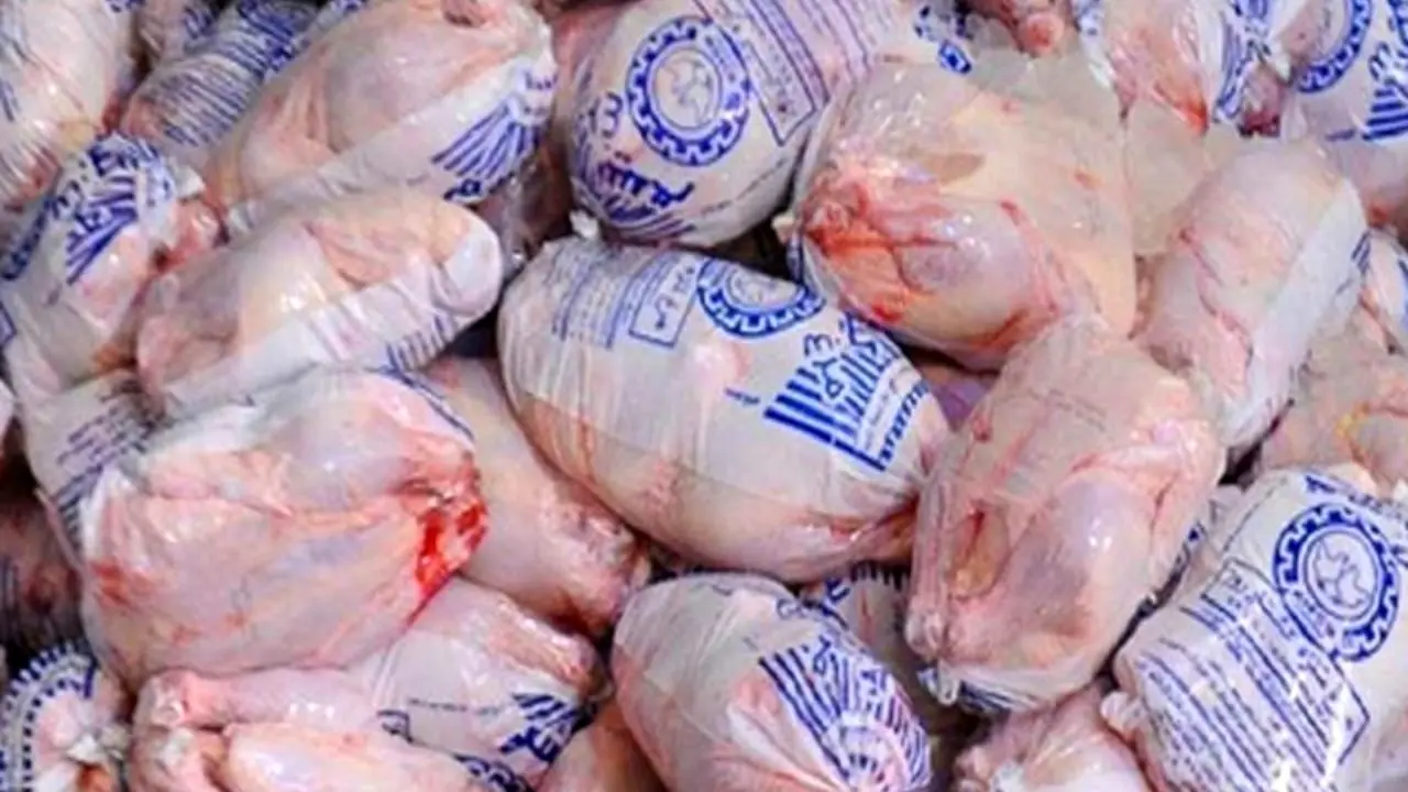 توزیع 1600 تن مرغ منجمد در تهران