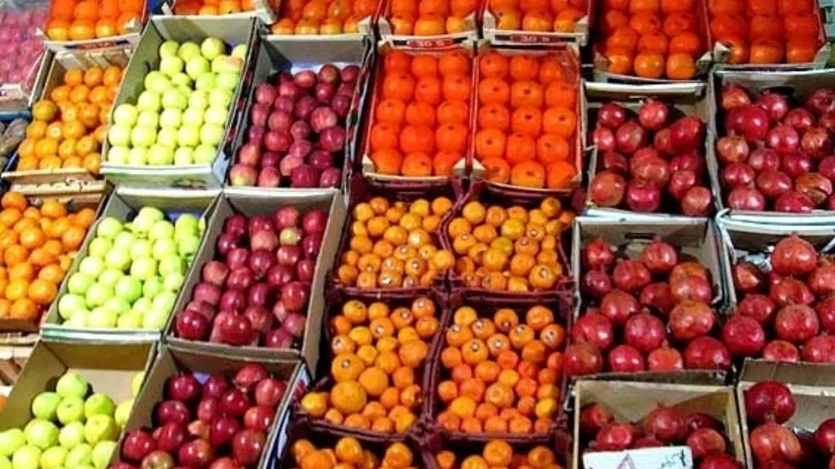 قیمت انواع میوه در شب یلدا افزایش نسبی دارد
