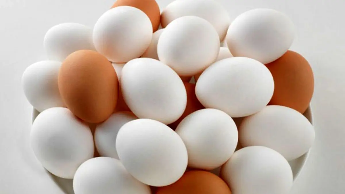 افزایش قیمت تخم‌مرغ به کیلویی 17400 تومان!