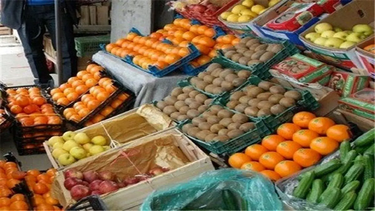 صادرات میوه فوری متوقف شود