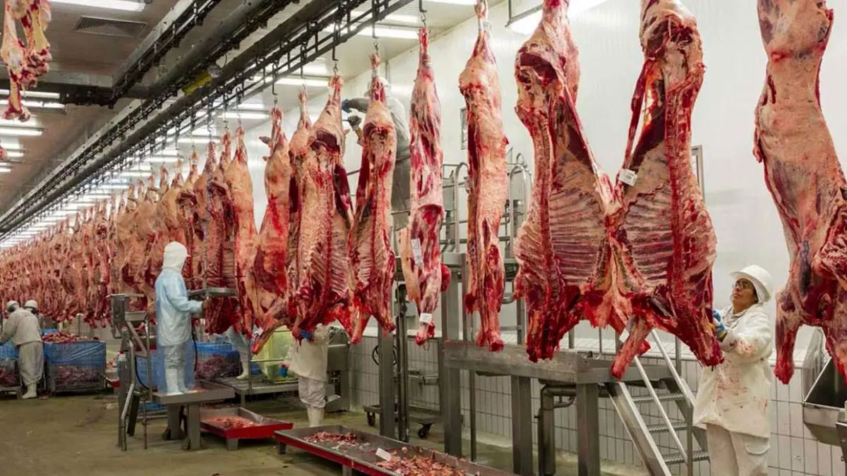رونق تولید دام زنده در کشور مانع از واردات گوشت شده است/ در تولید گوشت قرمز به خوداتکایی کامل رسیدیم