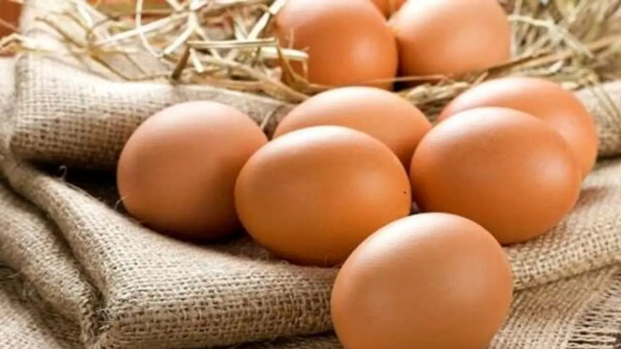 ممنوعیت عرضه تخم مرغ فله‌ای