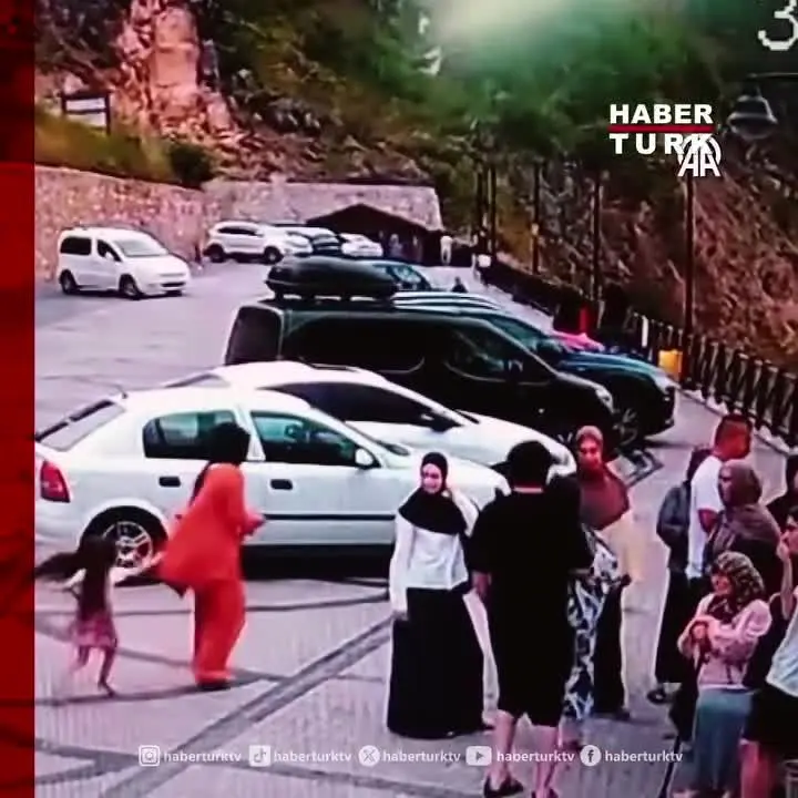 خودرويي،شيب