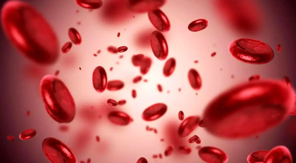 آیا واقعا اهدای خون برای زنان خطرناک است؟