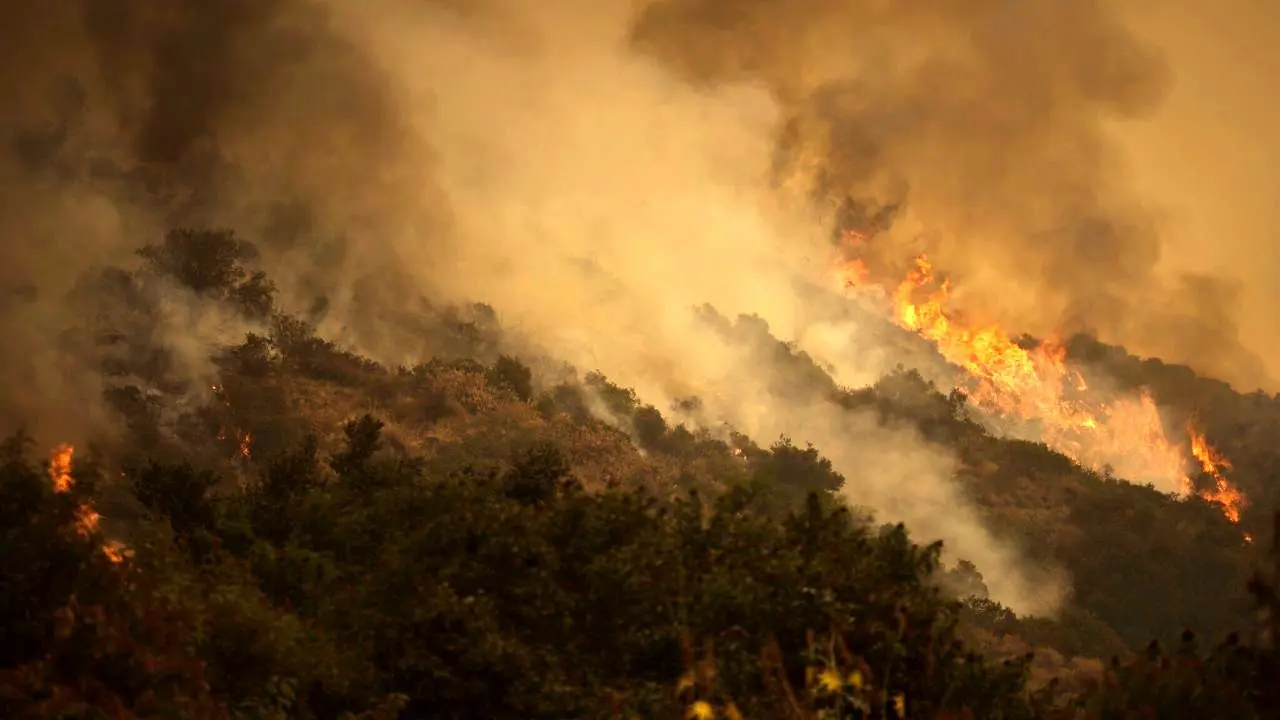 عامل بیش از 90 درصد آتش سوزی‌ها در کشور انسانی است