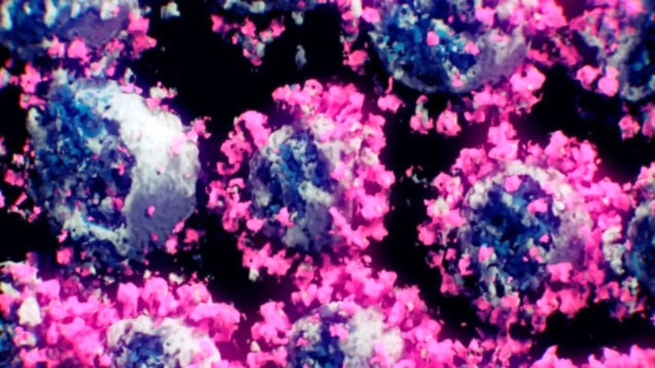 نخستین تصویر سه‌بعدی از ویروس کرونا