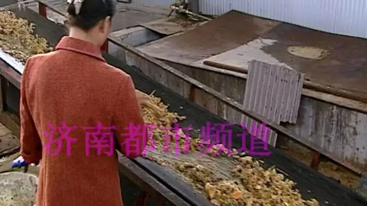دور دنیا | مرد چینی از زباله و سوسک میلیونر شد