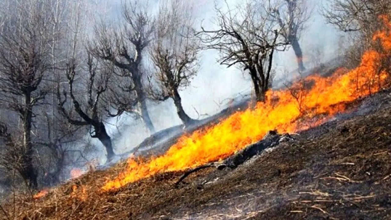 آتش‌سوزی گسترده در جنگل‌های سیاهکل و تالش مهار شد