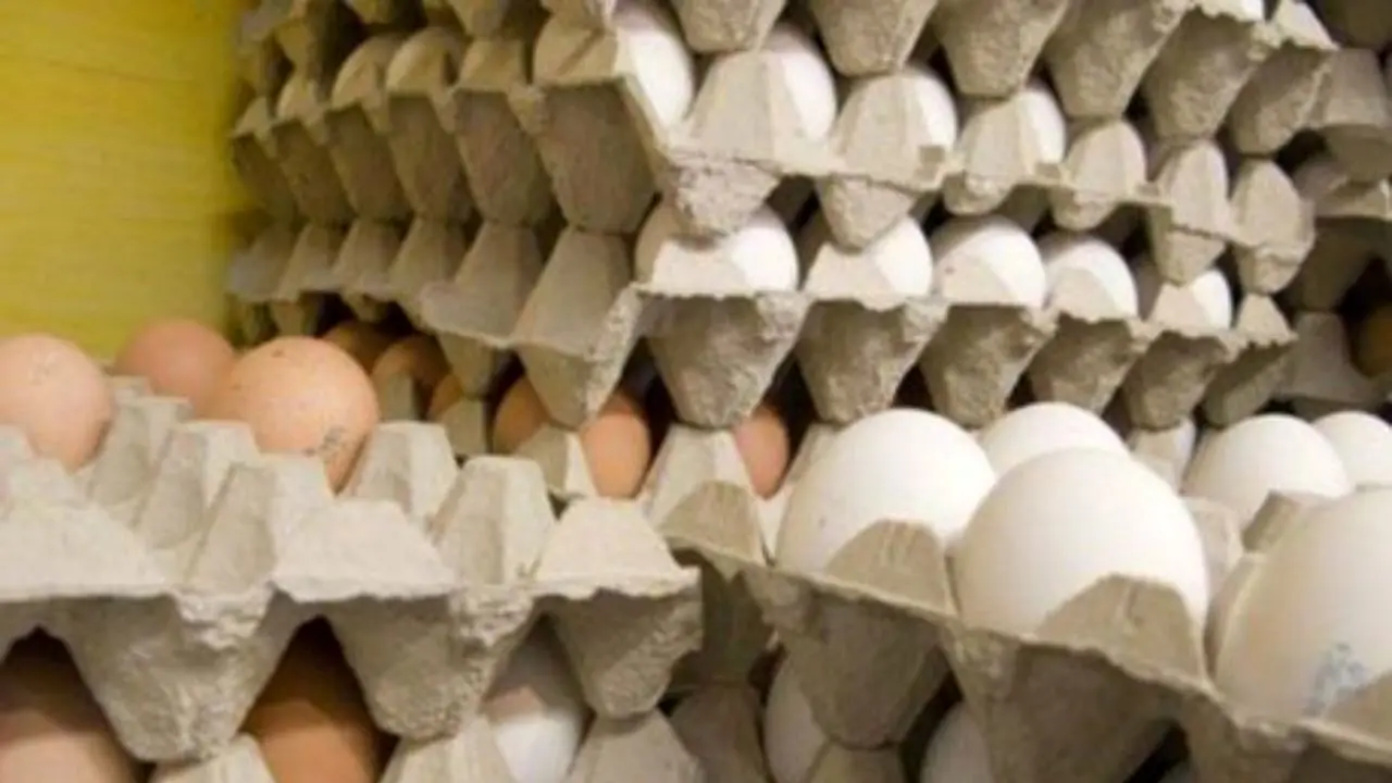 جلوی قاچاق تخم‌مرغ گرفته شود