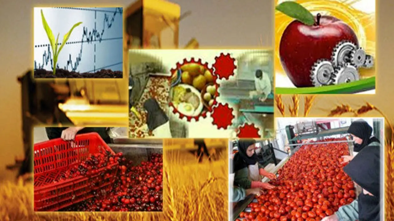 سهم 41 درصدی بخش کشاورزی در صادرات گیلان و جای خالی صنایع تبدیلی