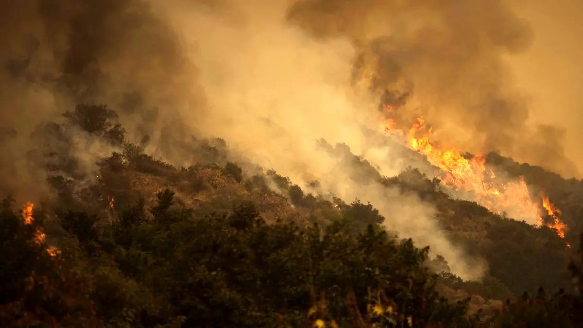 زمستان سوزان جنگل‌های هیرکانی؛ آتش‌سوزی ادامه دارد