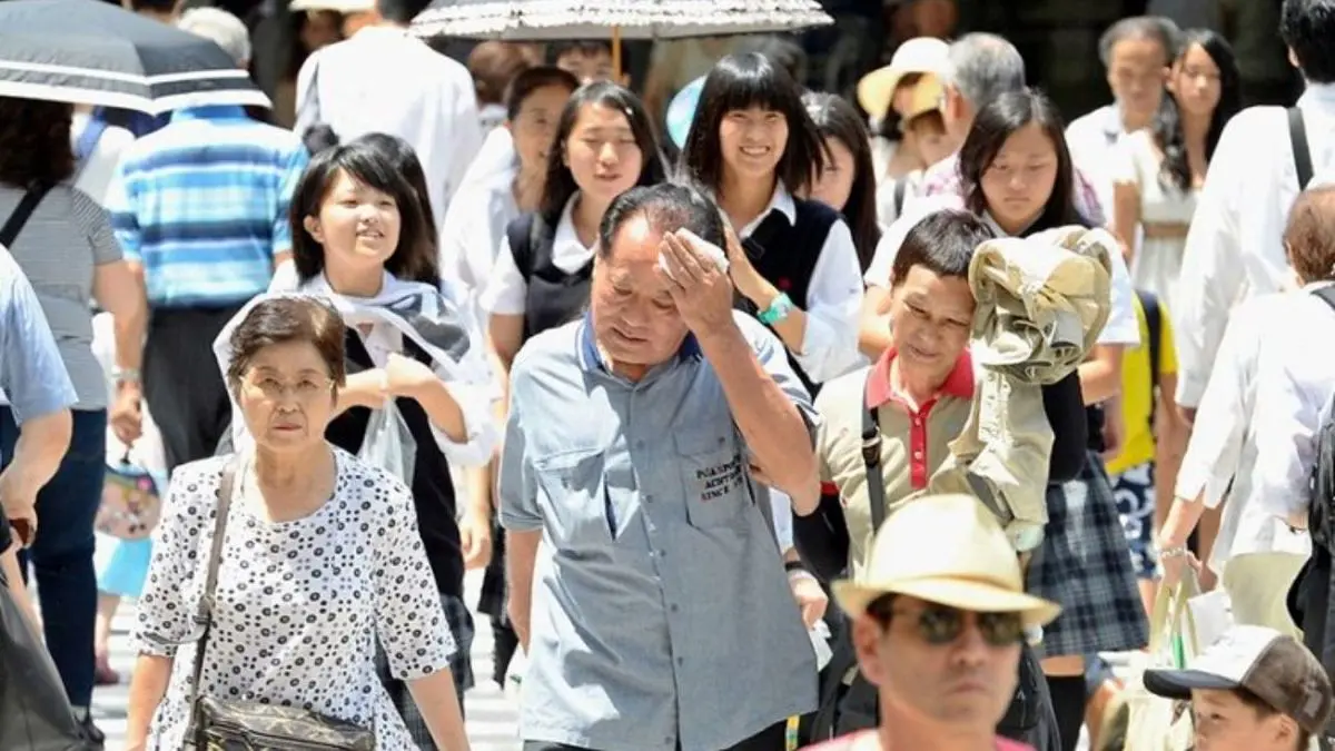 دور دنیا| مرد ژاپنی بابت کار نکردن حق‌الزحمه می‌گیرد