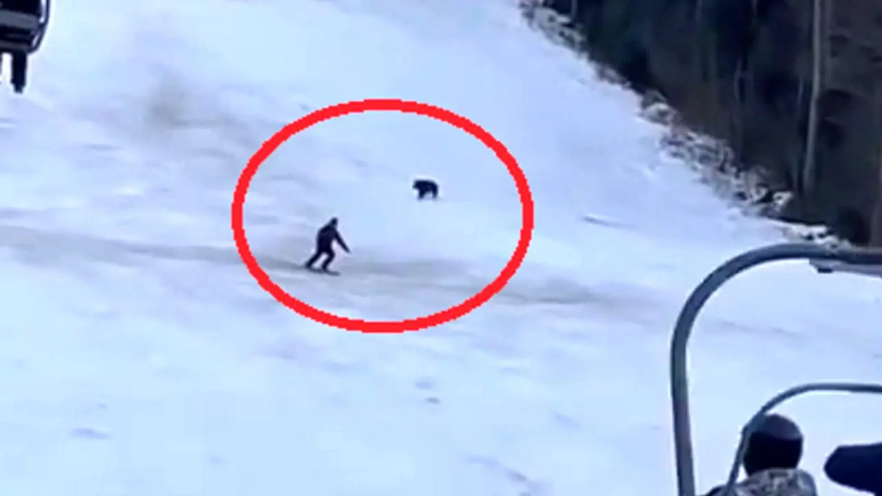 دور دنیا | وحشت در کوهستان / سرعت زیاد جان اسکی‌باز رومانیایی را نجات داد + ویدیو
