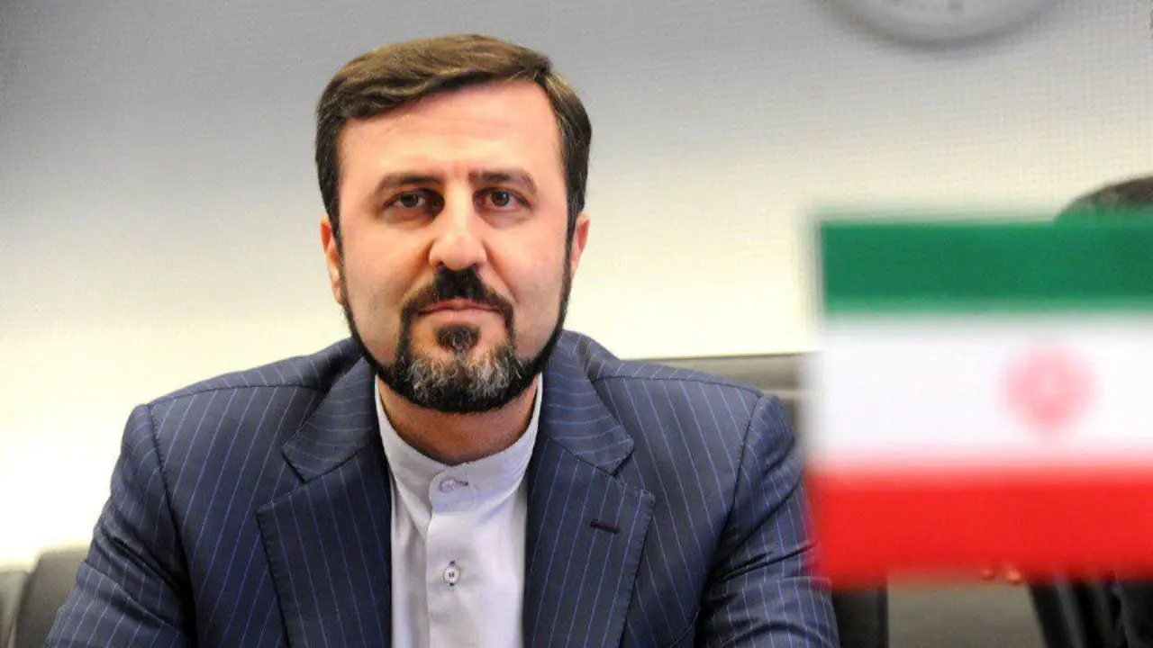 نماینده ایران زمینه‌ها و دلایل تصویب قانون مجلس را به اطلاع آژانس رساند