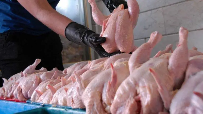 قیمت مصوب مرغ تا پایان ماه رمضان تغییر نمی‌کند/ قیمت مرغ تا آخر هفته عادی نشود مرغ منجمد به بازار تزریق خواهد شد