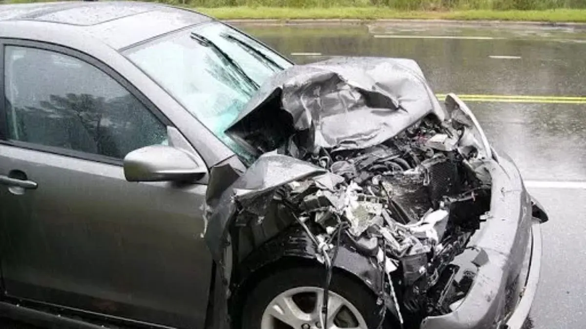 نجات معجزه‌آسای یک خودرو پس از سقوط درخت+ ویدئو