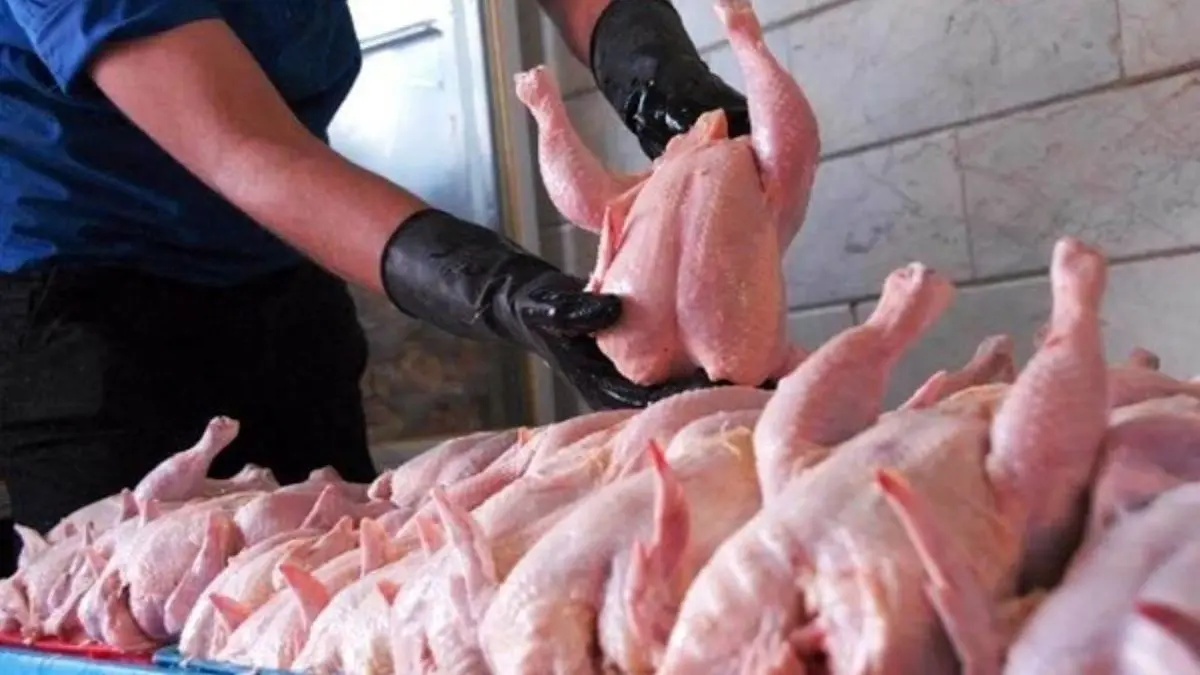 قیمت گوشت مرغ گرم بیشتر از قیمت فعلی نیست