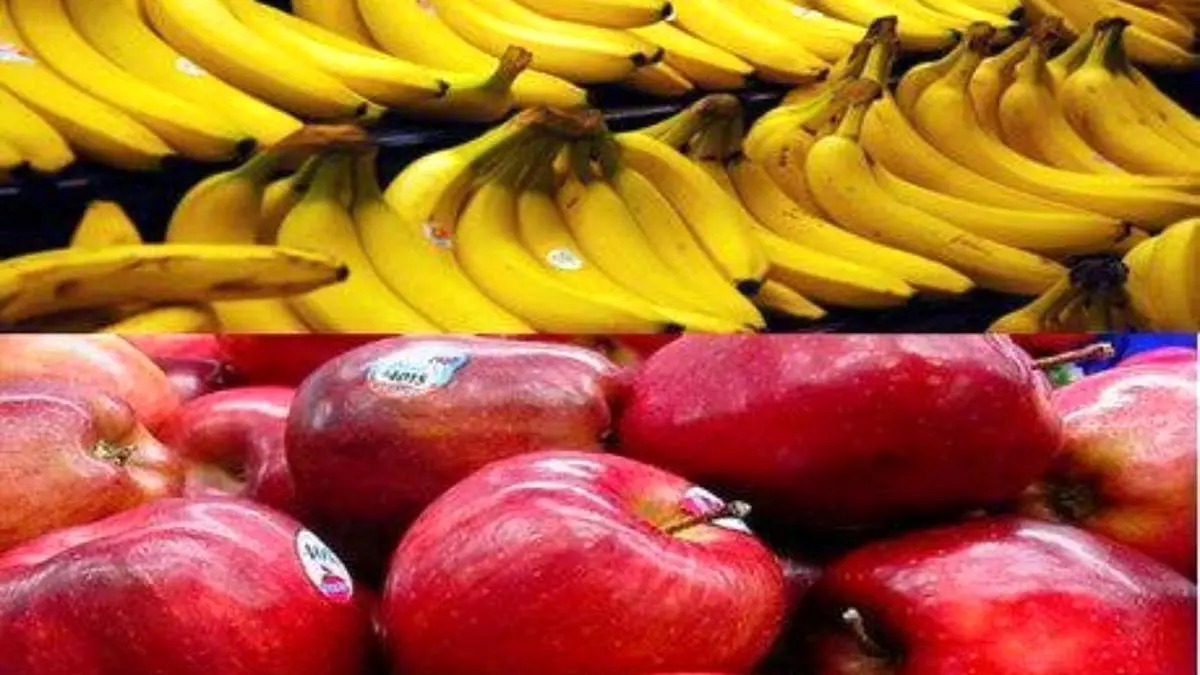 صادرات سیب شرط واردات موز