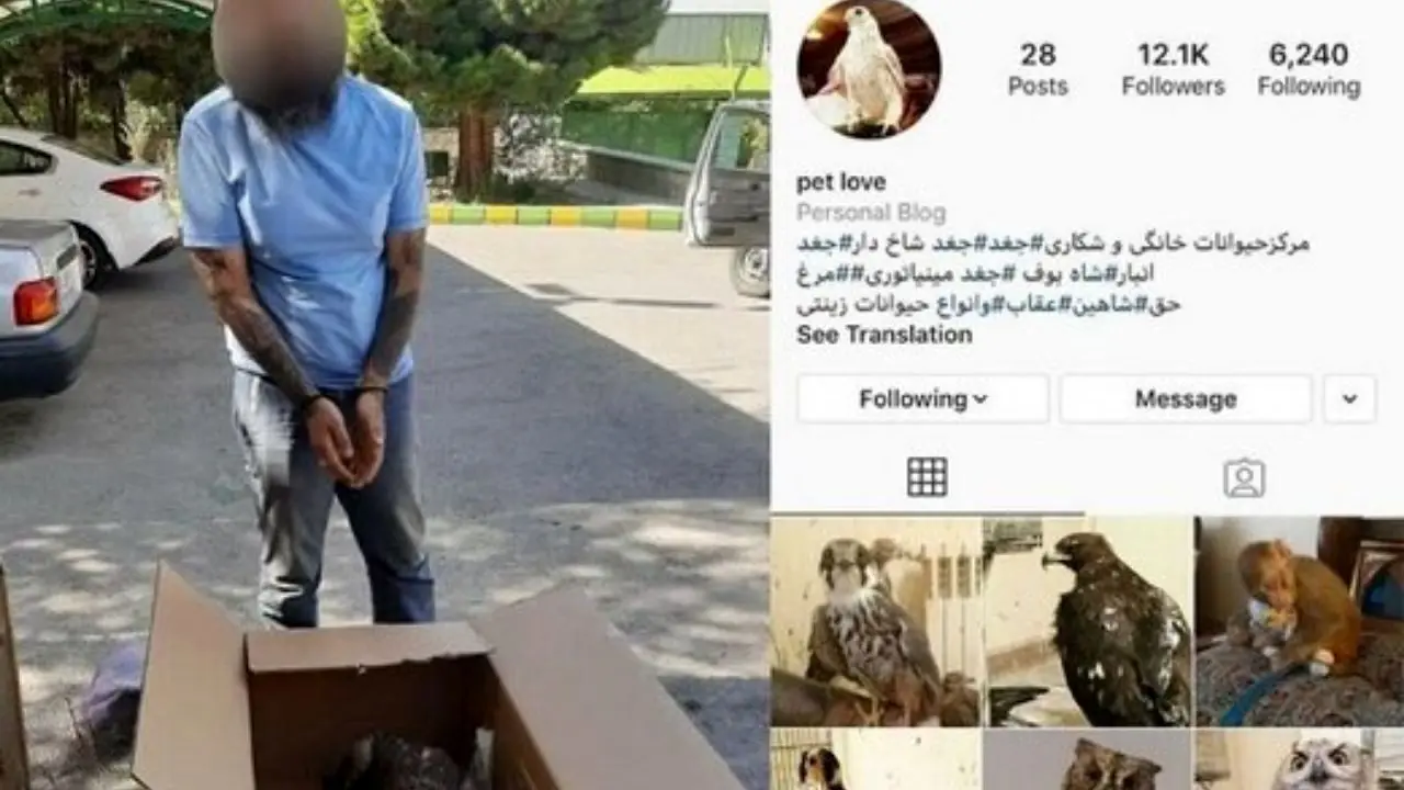 هشدار پلیس درباره برخورد با قاچاقچیان حیوانات در آستانه نوروز