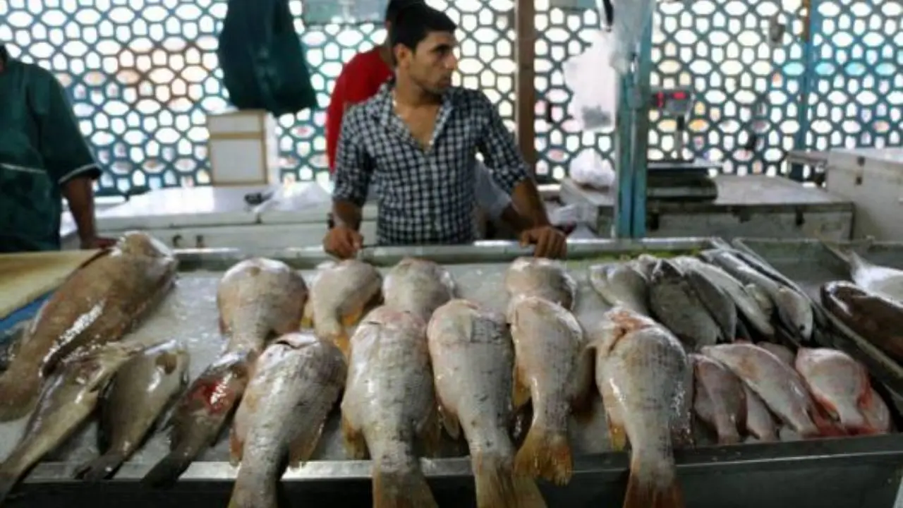 افزایش مصرف ماهی به دلیل گرانی گوشت قرمز