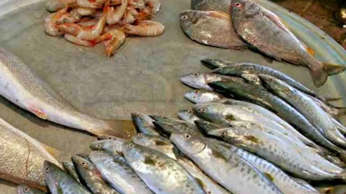 امواج دریای خزر موجب افزایش قیمت ماهی شب عید در گلستان شد