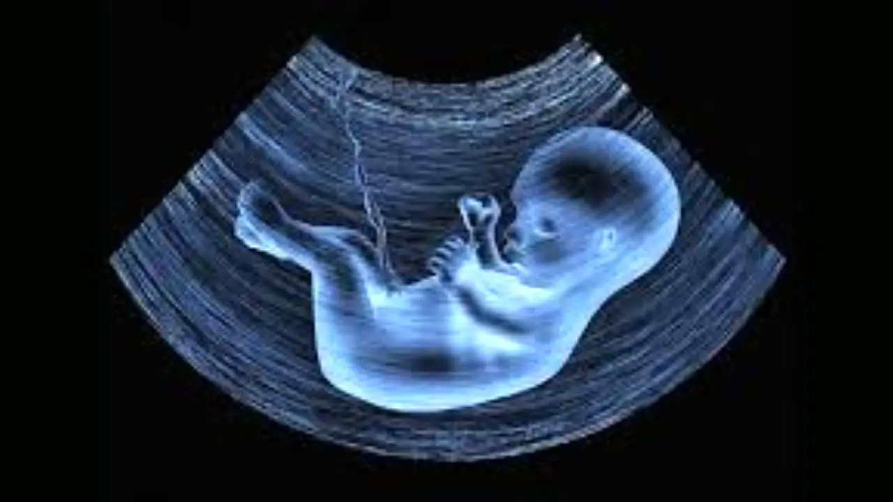 مرغ مجلس یازدهم یک پا دارد / مجلس با اجباری شدن غربالگری در دوران بارداری مخالفت کرد