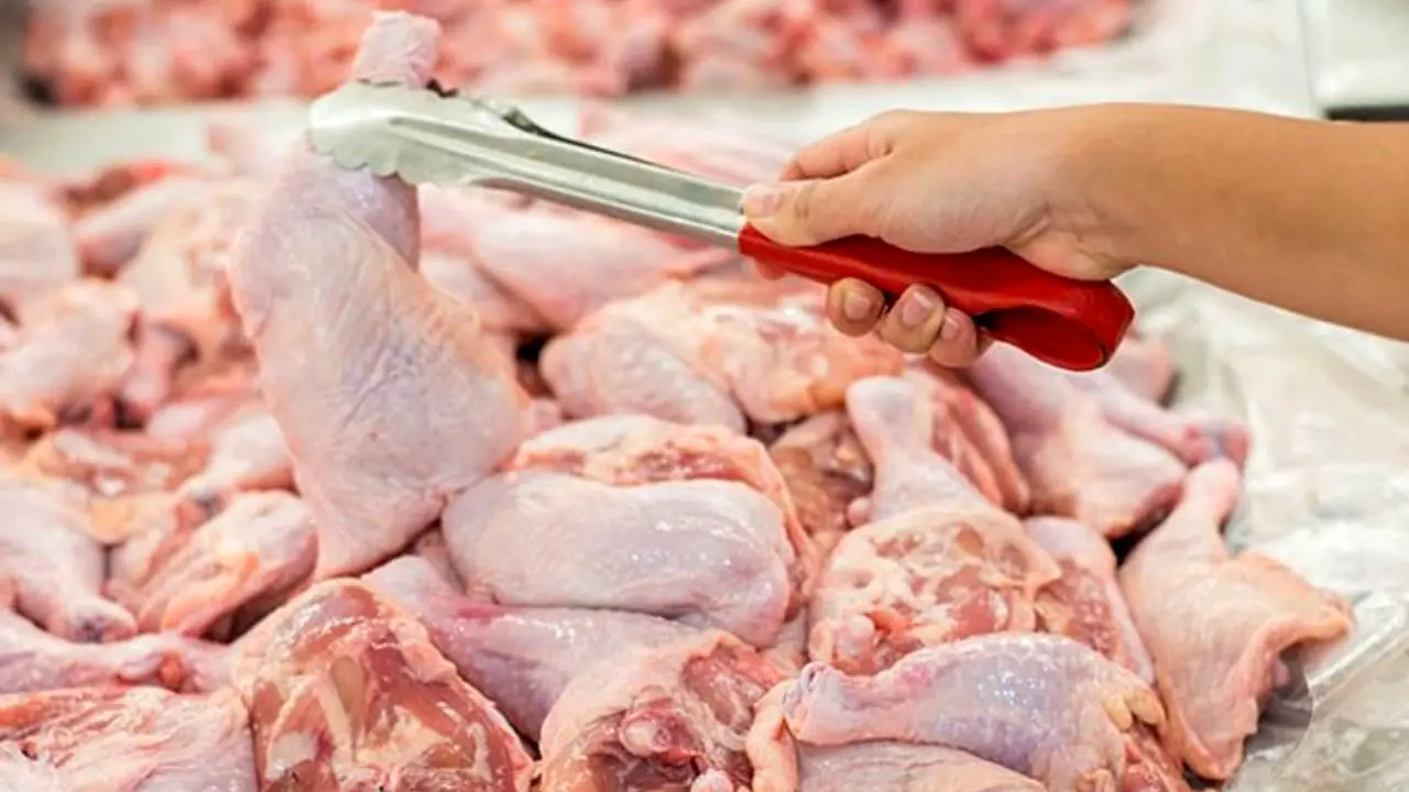 ورود گوشت مرغ به بازار / توزیع به میزان نیاز از فردا