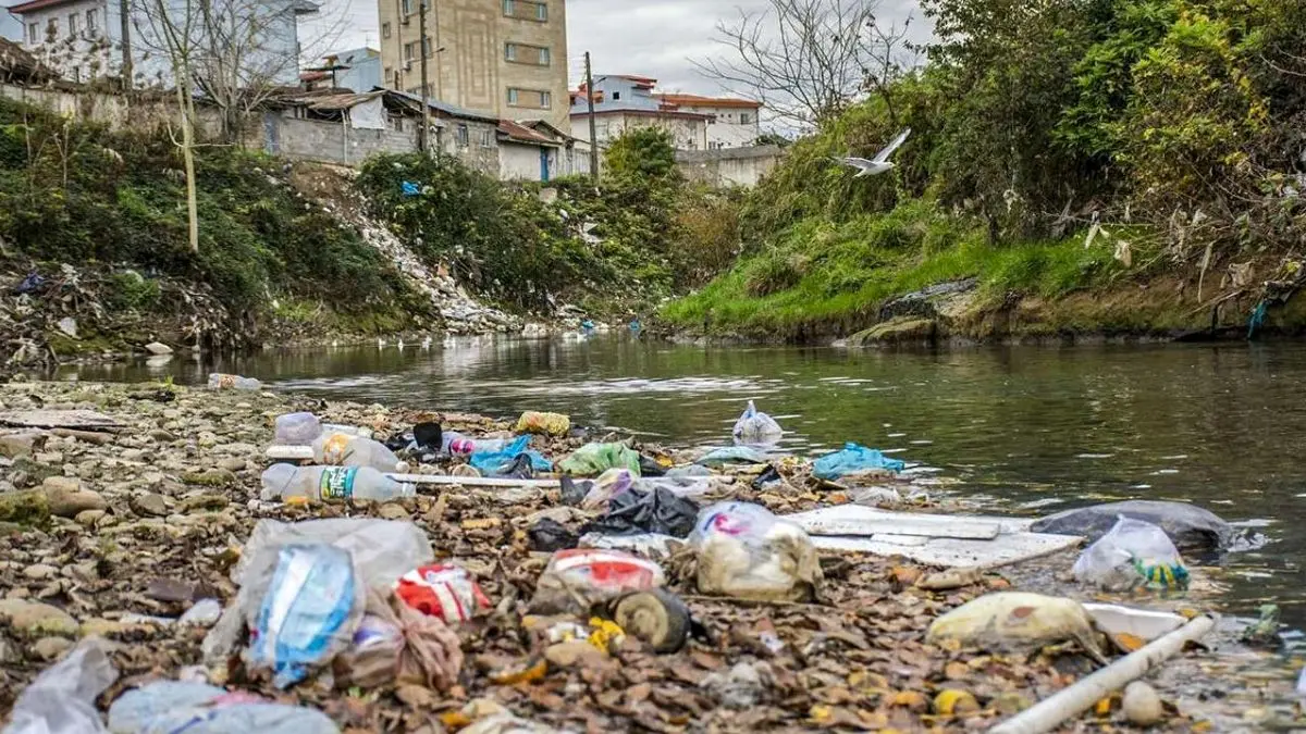 نادری: نریختن زباله باید به یک فرهنگ تبدیل شود