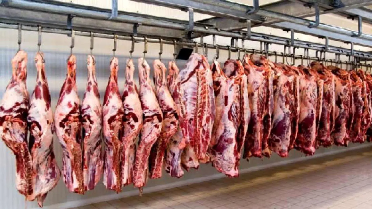 عرضه گوشت قرمز در بهمن امسال 43 درصد افزایش یافت