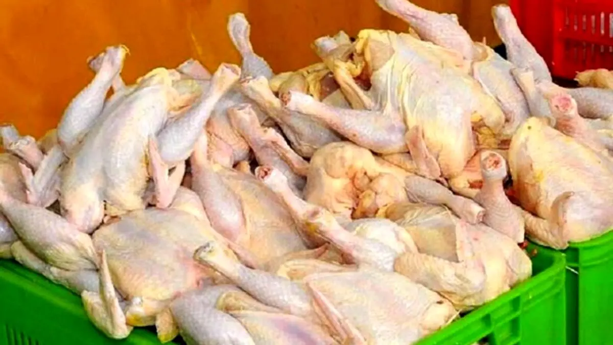 7700 تن گوشت مرغ گرم هفتم فروردین عرضه شد