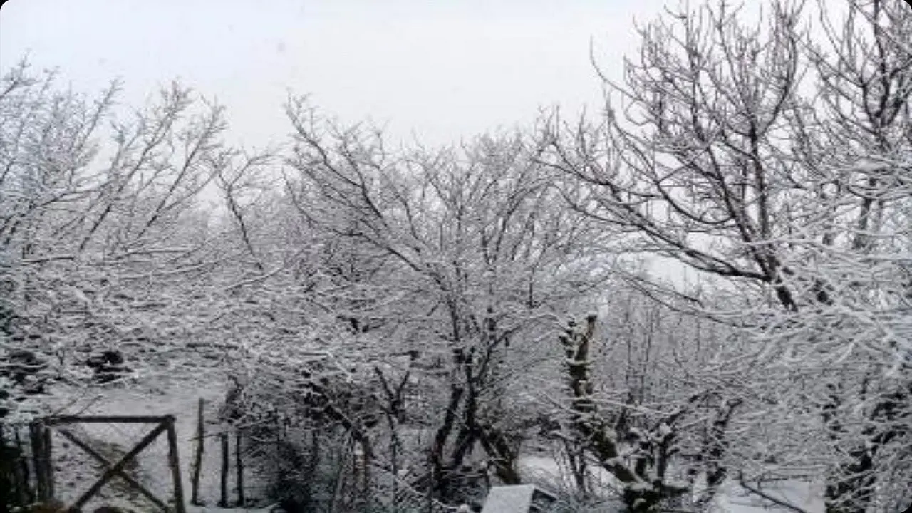 بارش برف بهاری مناطق کوهستانی املش در استان گیلان را سفیدپوش کرد