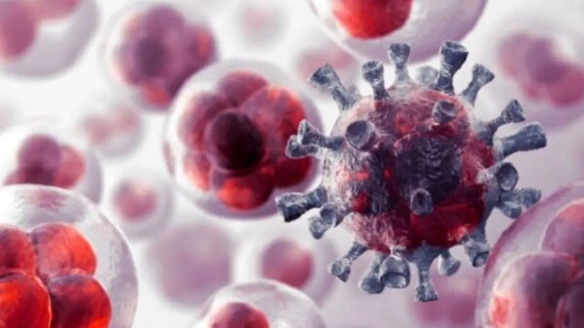 افزایش سالانه 5 تا 7 درصد بیماران سرطانی