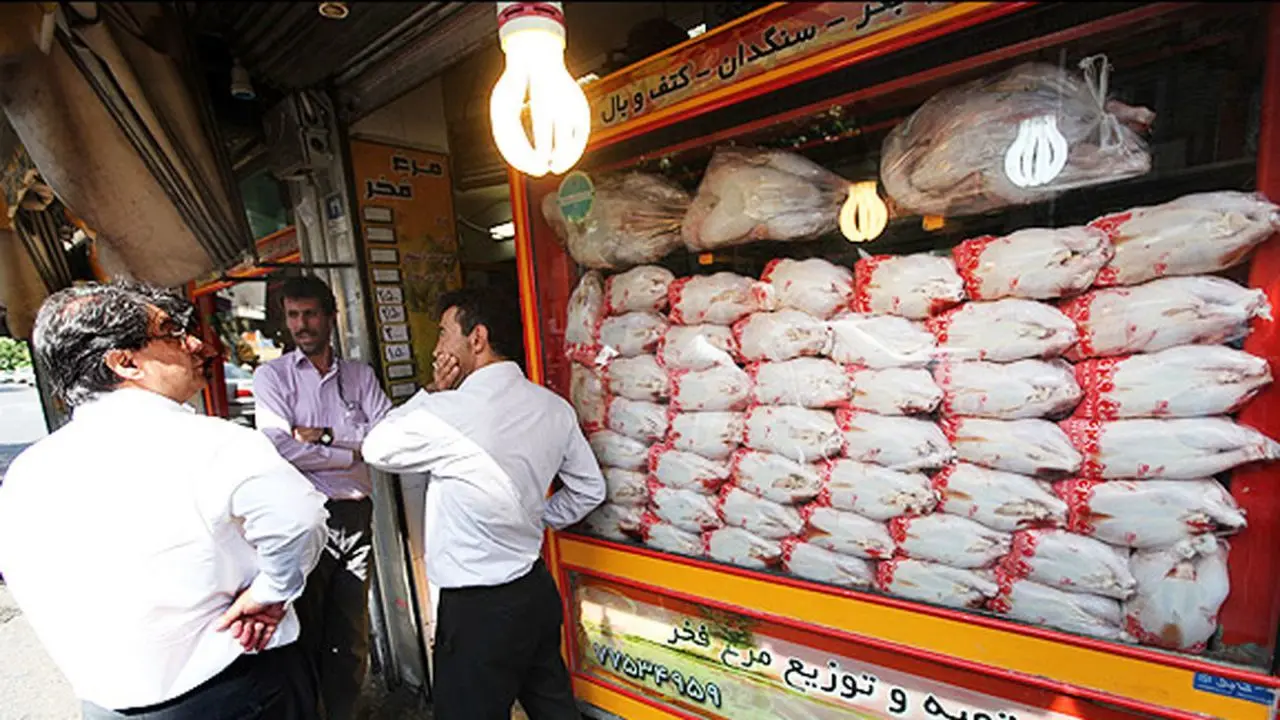 عادی شدن شرایط بازار مرغ در تهران