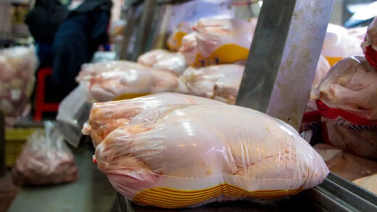 دستگیری 20 دلال بازار مرغ/ بیش از 53 تن مرغ کشف شد