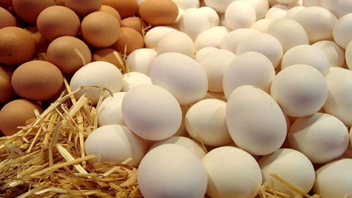 گران‌فروشی تخم‌مرغ در خرده‌فروشی‌ها