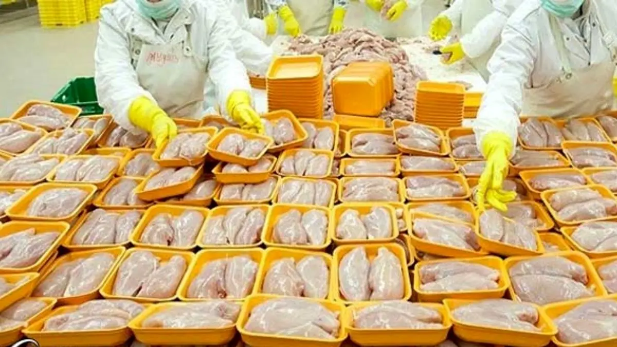 ابلاغ واردات 50 هزار تن گوشت مرغ به گمرک