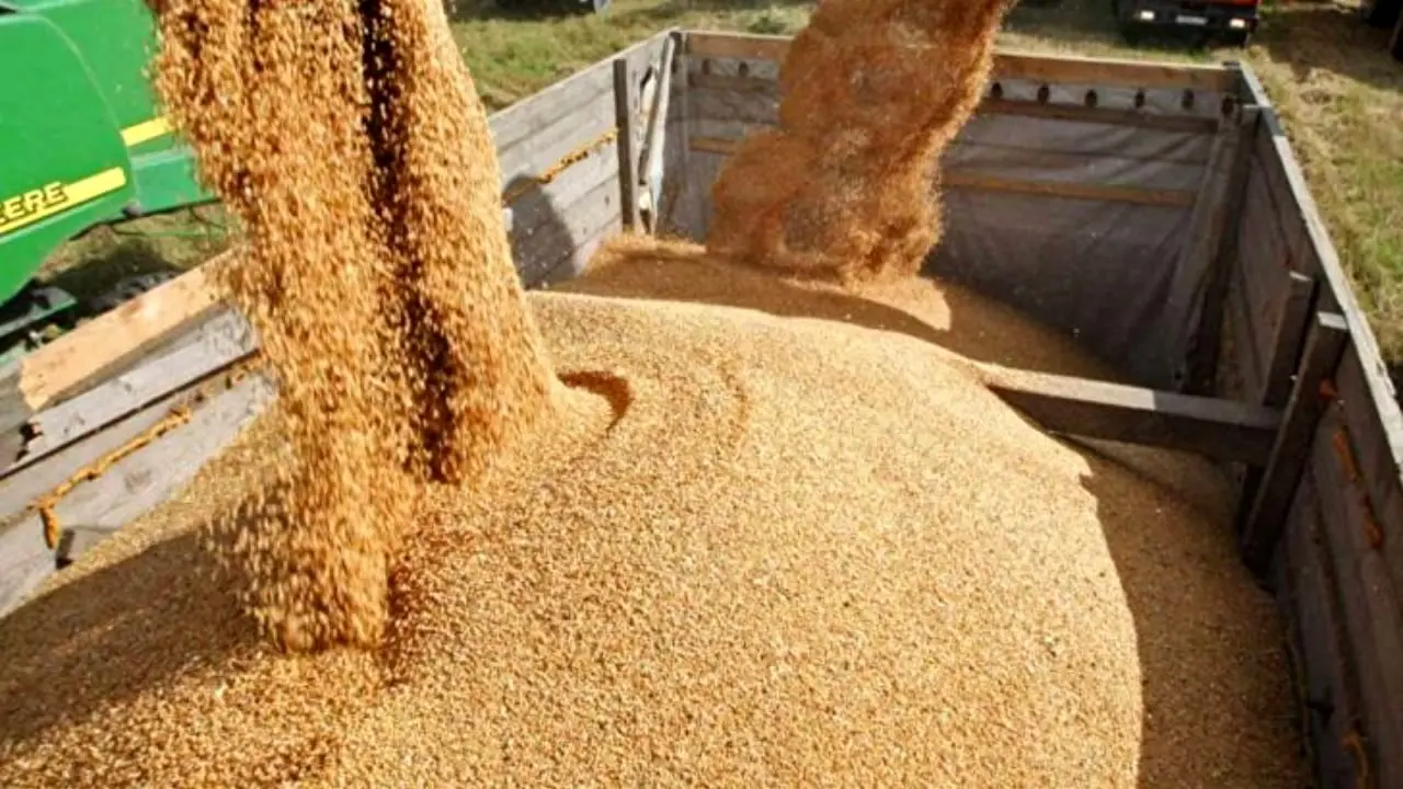 حداقل قیمت خرید هر کیلو گندم باید 5 هزار و 842 تومان اعلام شود