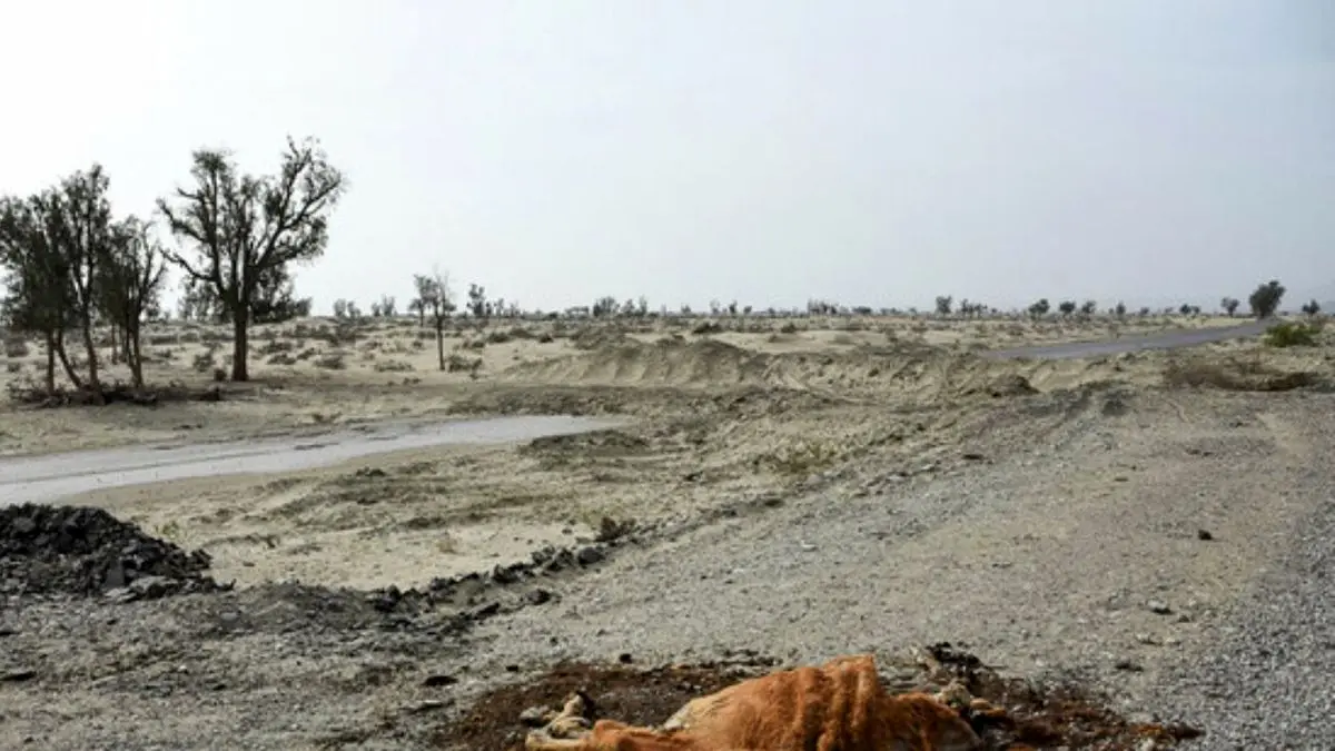 خشکسالی‌ بی‌سابقه در مناطقی از کشور/ هشدار مرکز ملی خشکسالی به مسئولان آب