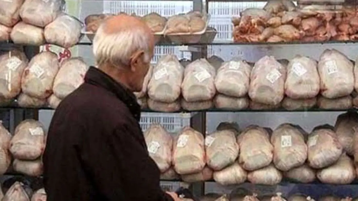 بازار مرغ آرام شد/ توزیع روزانه 1200 تن گوشت مرغ در تهران